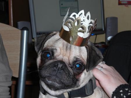 voici la reine Bianca !!!!