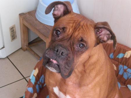 ma grosse !!!