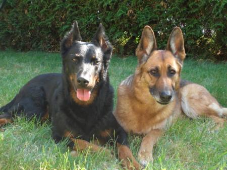 Uswana et Roxanne !!!