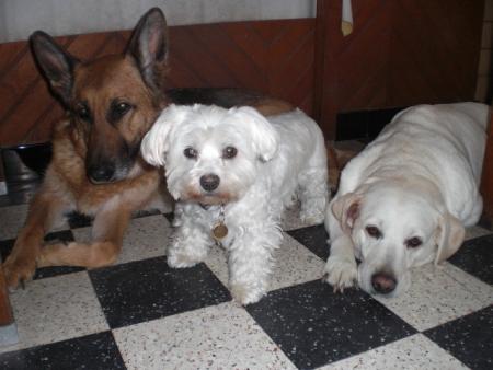 Roxanne, Sidjie et Sandy