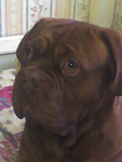 tyron