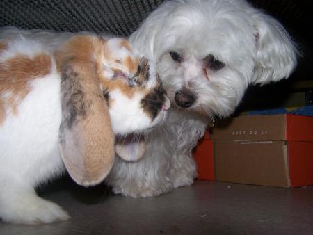 bisou et sidjie