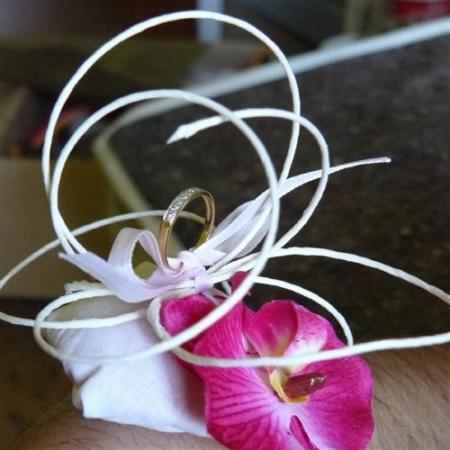 vous pensé quoi du mariage?