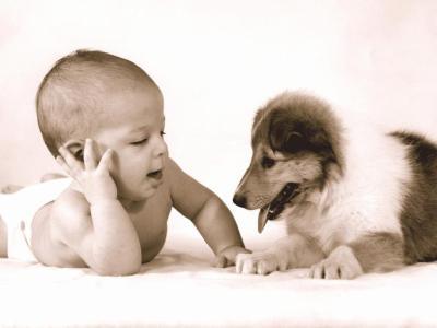 trop mignon !