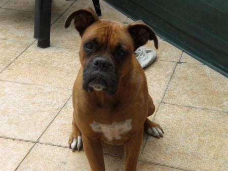 ma grosse!!