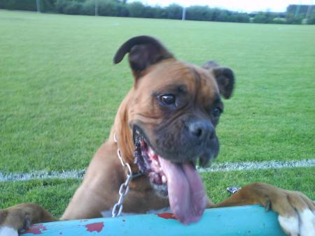 ma grosse !!
