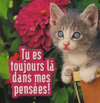 pour toi !!