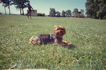 aprés la baignade, le bronzage!!