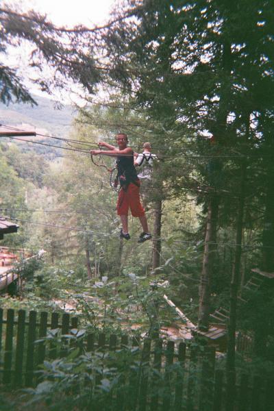 voila le singe numéro 1!!