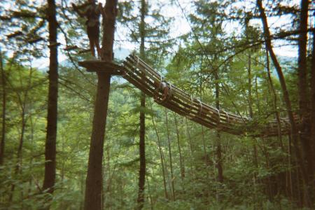 et le singe numéro 3 mai il faut le chercher!!