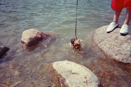 atchoum qui lui aussi a profiter de c'est vacances!!