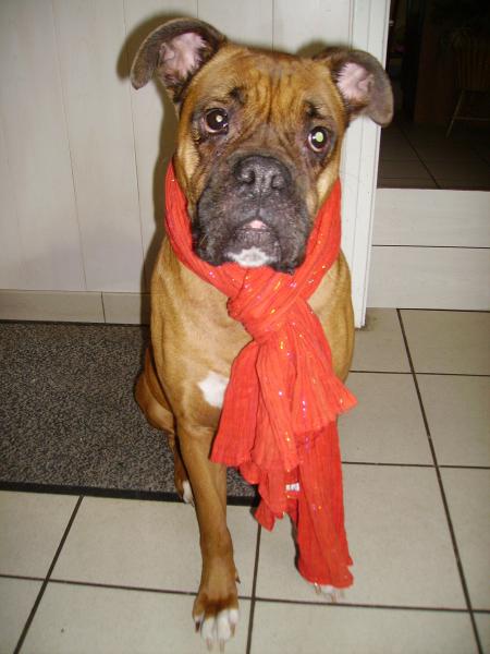 ca c'est ma grosse fifille!!!