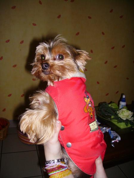 comment il ce la pete!!!