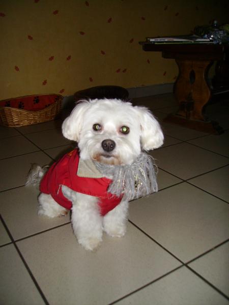 il fai tellemen froi que ma nenette met son écharpe et son manteau a linterieure!!