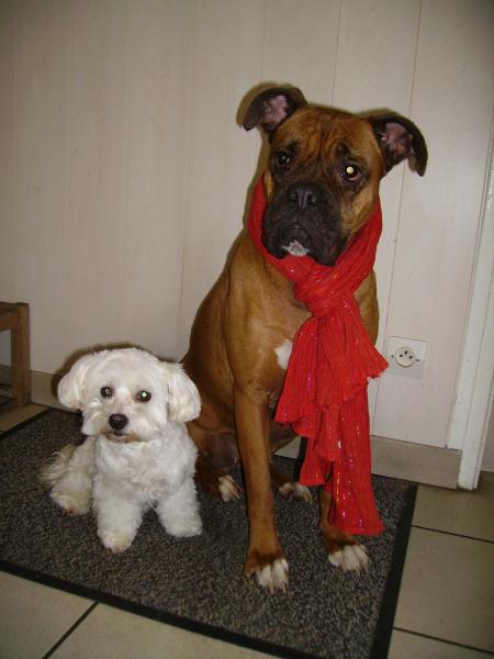 mes petites chéries!!!