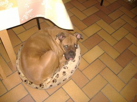 ma grosse!!